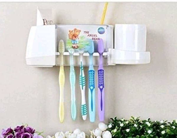 Brush organizer
