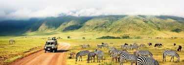 List of the Best African Countries to Travel To