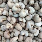 W320 Premium Organic Cashew Nuts - Wholesome, Crunchy & Unsalted - Image 4