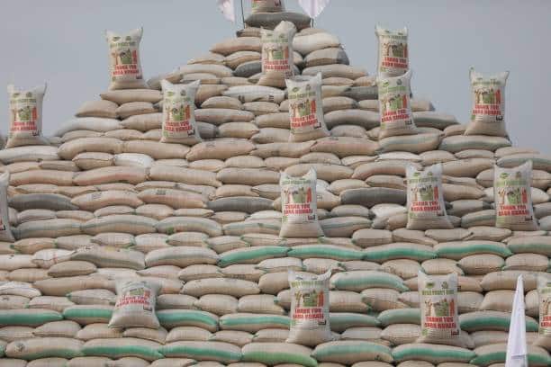 How to Start an Agro Export Business in Nigeria