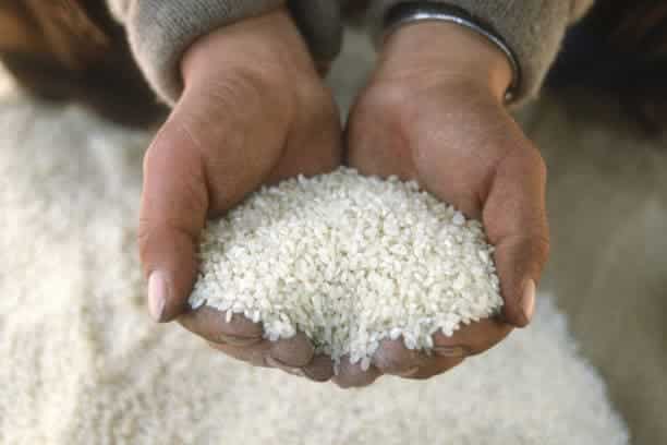 How to Find International Buyers for Your Agro Products