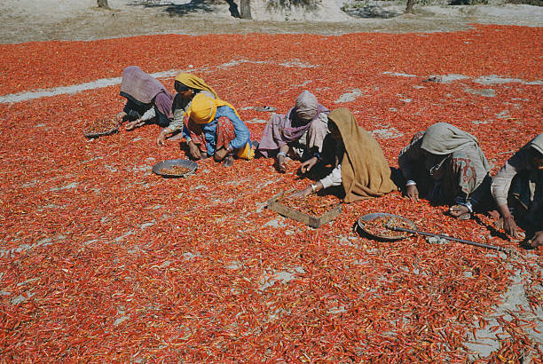 Agricultural Products to Export