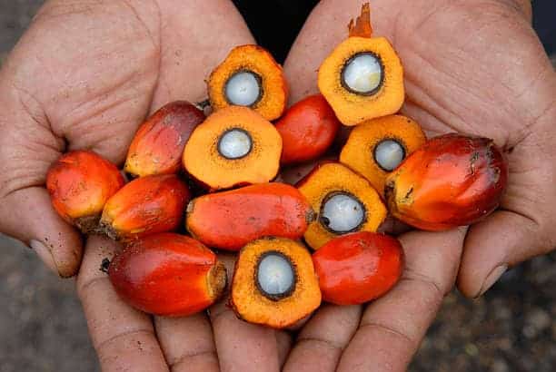 Best Logistics and Shipping Companies for Exporters