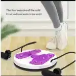 Waist Twisting Disk For Belly Fat - Image 4