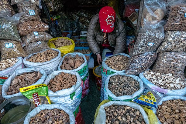 How to Start a Profitable Maca Syrup Export Business in Africa