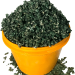 Periwinkle: A Custard