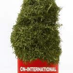 Premium Dehydrated Afang Leaves - Authentic Nigerian Flavor & Convenience