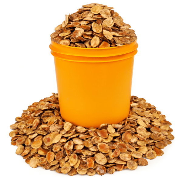 Premium Ogbono Seeds – Wild Mango Kernels (Whole) | NadoOrganic Food