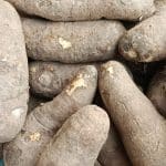 One Tuber of Yam