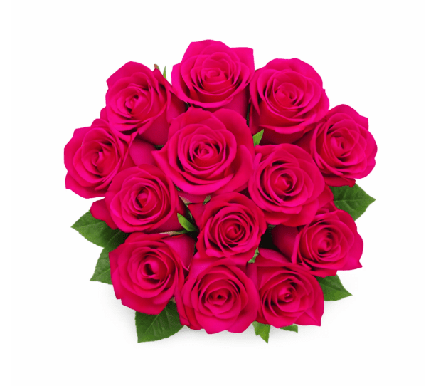 C Valentine’s Day Assorted Dozen Roses - Image 1